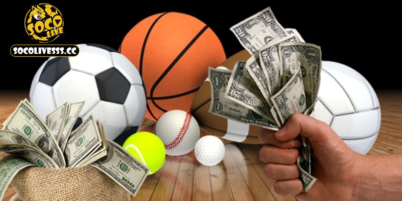 Đôi nét khái quát về Socolive